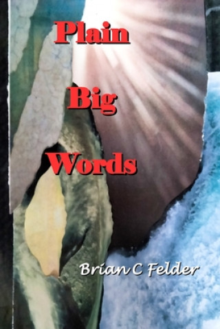 Knjiga Plain Big Words Brian C Felder