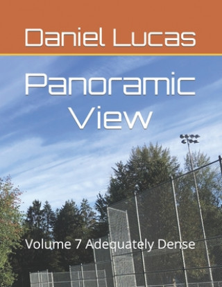 Knjiga Panoramic View Daniel Lucas