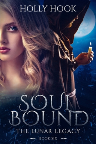 Knjiga Soul Bound Holly Hook