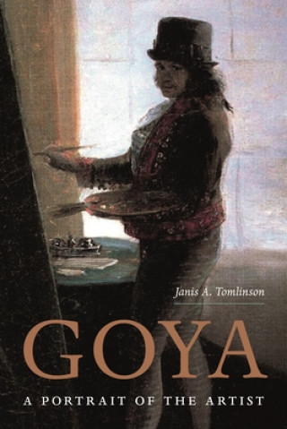 Książka Goya Janis Tomlinson