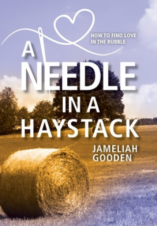 Knjiga Needle in a Haystack Jameliah Gooden