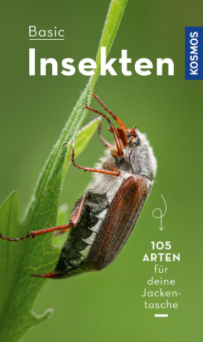 Kniha BASIC Insekten 