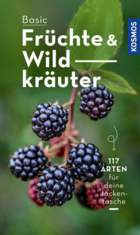 Книга BASIC Früchte und Wildkräuter Eva-Maria Dreyer
