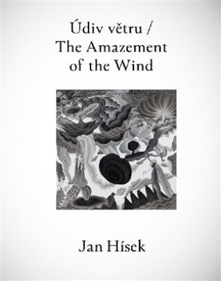 Книга Údiv větru / The Amazement of the Wind Radek Wohlmuth