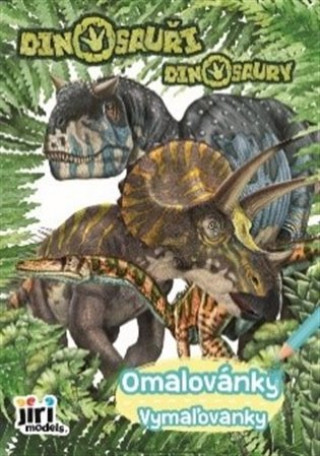 Könyv Omalovánky/Vymaľovanky - Dinosauři 
