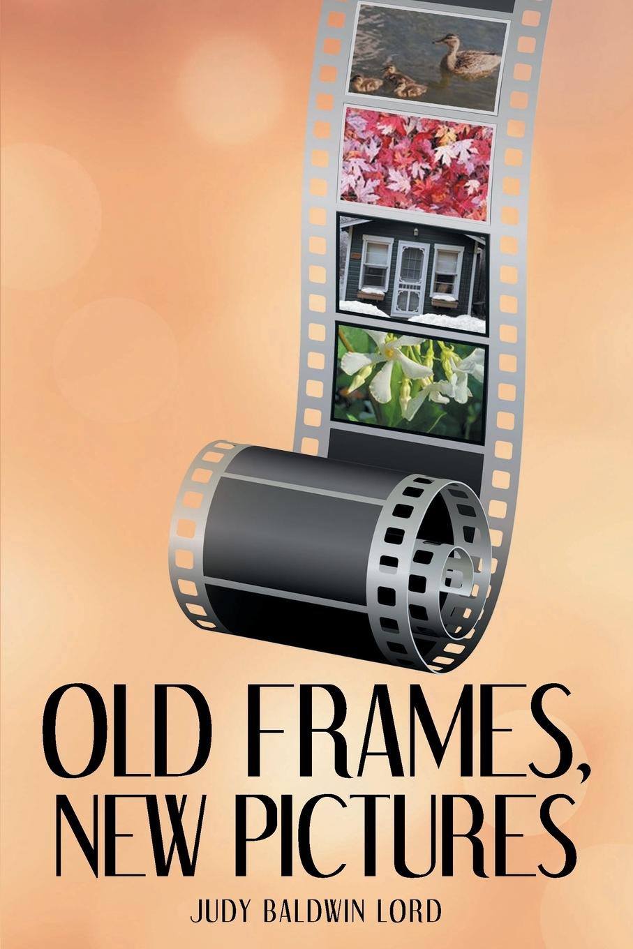 Knjiga Old Frames, New Pictures Judy Baldwin Lord