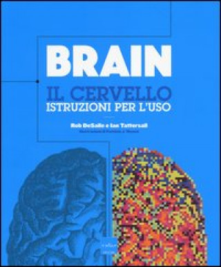 Könyv Brain. Il cervello. Istruzioni per l'uso Rob DeSalle