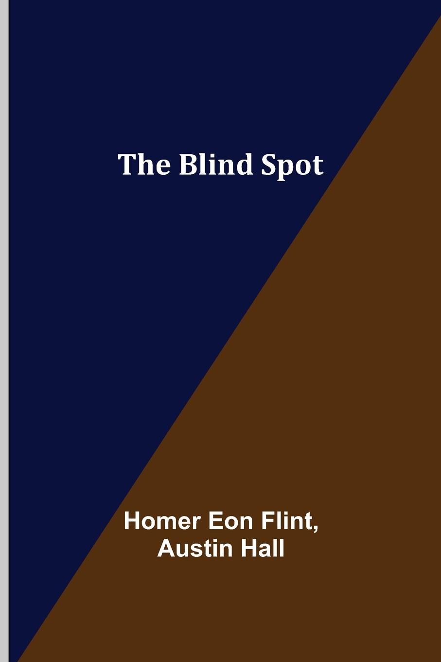Book Blind Spot Austin Hall