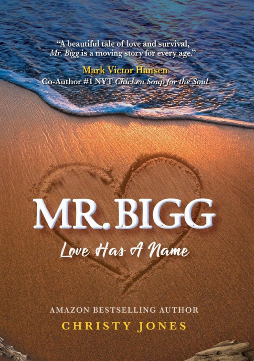 Knjiga Mr. Bigg Christy Jones