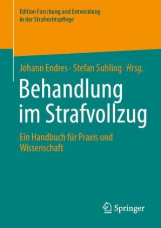 Kniha Behandlung im Strafvollzug Stefan Suhling