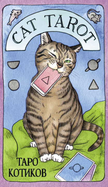 Книга Cat Tarot. Таро Котиков (78 карт и руководство в подарочном футляре) 