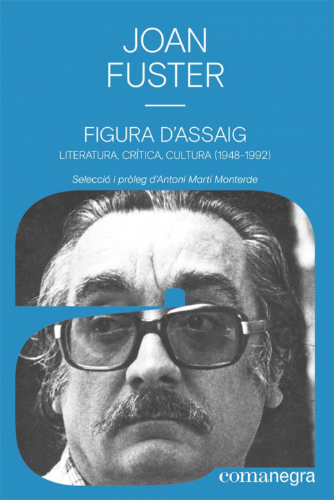 Kniha Figura d'assaig JOAN FUSTER
