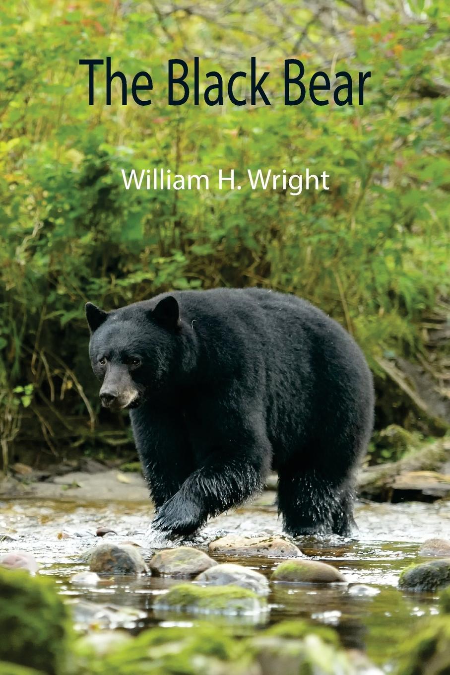Knjiga Black Bear William H. Wright