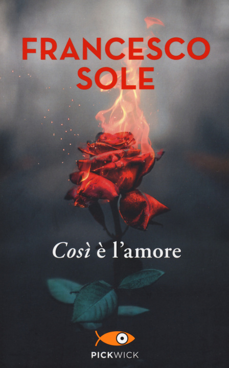 Книга Così è l'amore Francesco Sole