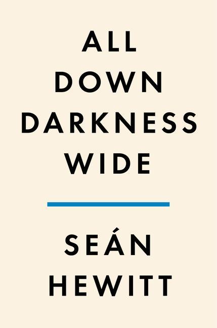 Kniha All Down Darkness Wide: A Memoir 