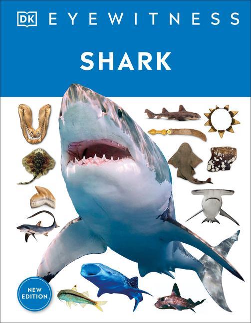 Kniha Eyewitness Shark: Dive Into the Fascinating World of Sharks 