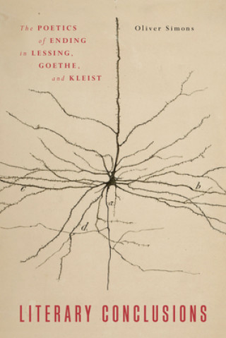 Knjiga Literary Conclusions Oliver Simons