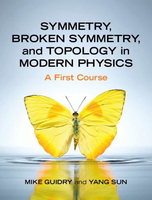 Könyv Symmetry, Broken Symmetry, and Topology in Modern Physics Yang Sun