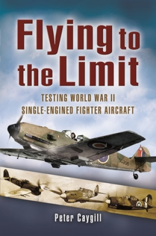 Libro Flying to the Limit 