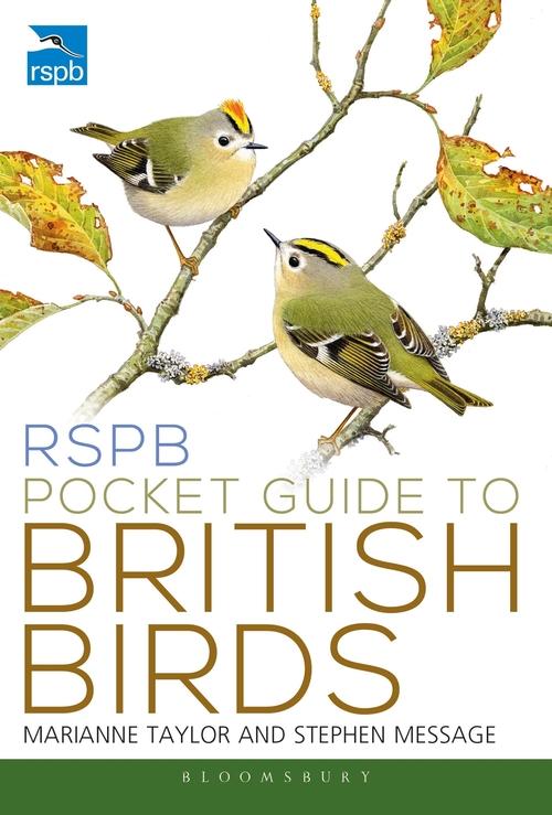 Carte RSPB Pocket Guide to British Birds TAYLOR MARIANNE