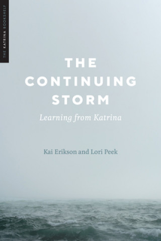 Buch Continuing Storm Lori Peek