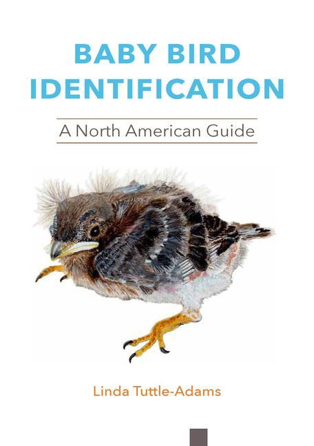 Книга Baby Bird Identification Rebecca S. Duerr