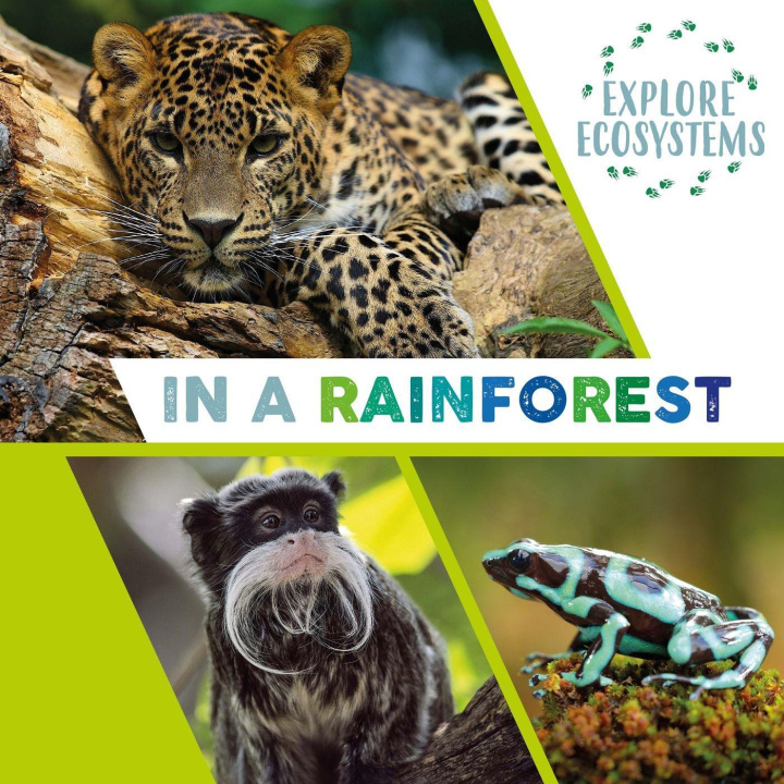 Knjiga Explore Ecosystems: In a Rainforest SARAH RIDLEY