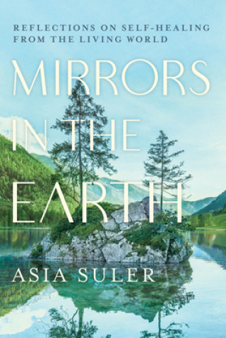 Kniha Mirrors in the Earth 