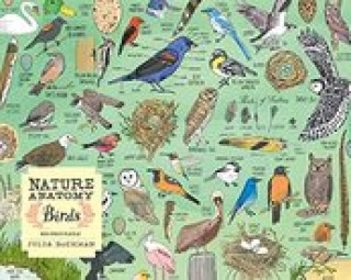 Hra/Hračka Nature Anatomy: Birds Puzzle (500 pieces) Julia Rothman