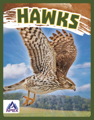 Knjiga Birds of Prey: Hawk Megan Gendell
