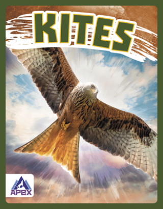 Book Birds of Prey: Kites Connor Stratton