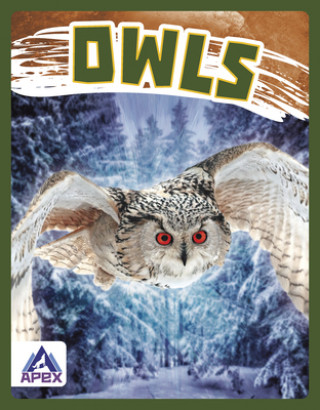 Knjiga Birds of Prey: Owls Golriz Golkar