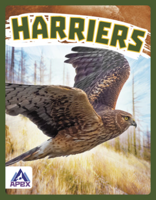 Book Birds of Prey: Harriers Connor Stratton