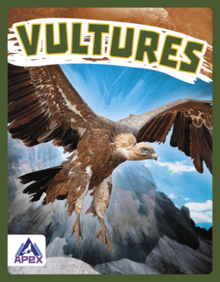 Knjiga Birds of Prey: Vultures Megan Gendell
