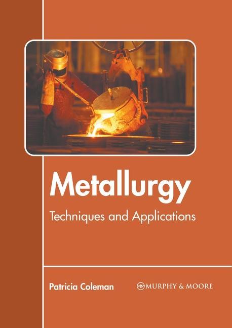 Könyv Metallurgy: Techniques and Applications 