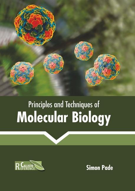 Könyv Principles and Techniques of Molecular Biology 