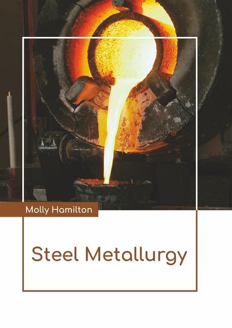 Könyv Steel Metallurgy 