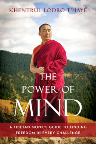 Kniha Power of Mind Ibby Caputo