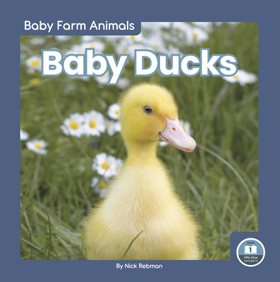 Könyv Baby Ducks 