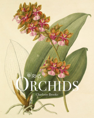 Kniha RHS Orchids 