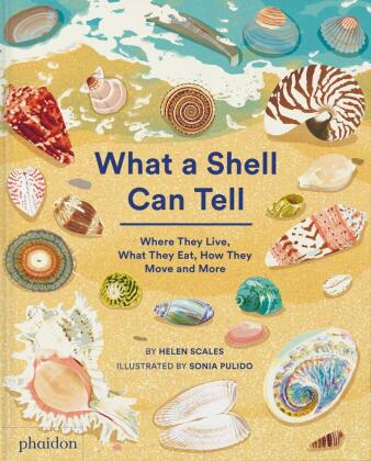 Kniha What A Shell Can Tell Sonia Pulido