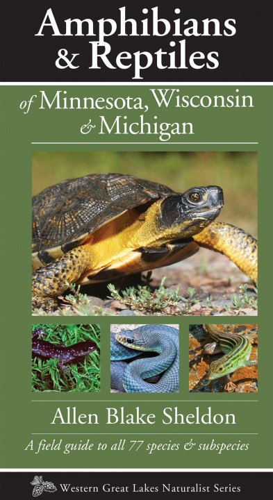 Carte Amphibians & Reptiles of Minnesota, Wisconsin & Michigan 