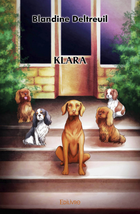 Buch Klara DELTREUIL BLANDINE