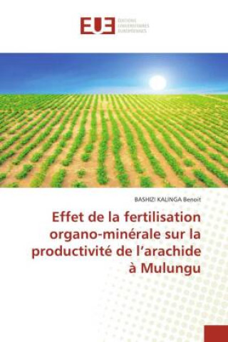 Carte Effet de la fertilisation organo-minerale sur la productivite de l'arachide a Mulungu 