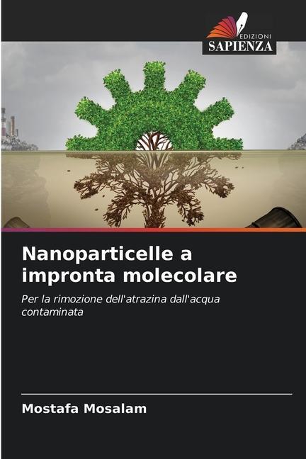 Kniha Nanoparticelle a impronta molecolare 