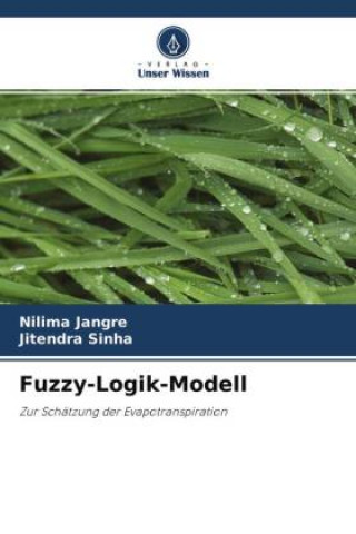 Boek Fuzzy-Logik-Modell Jitendra Sinha