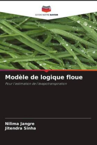 Βιβλίο Modele de logique floue Jitendra Sinha