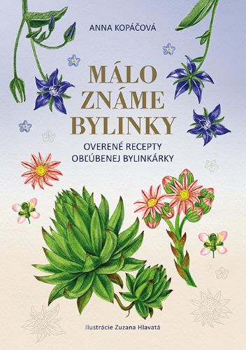 Book Málo známe bylinky Anna Kopáčová