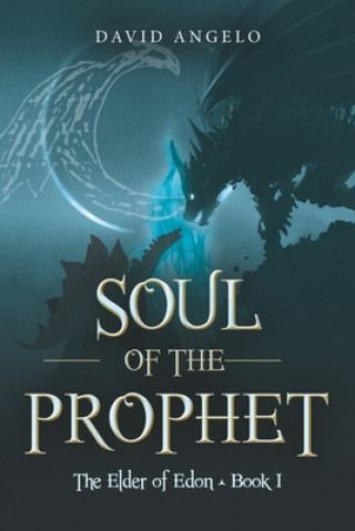 Knjiga Soul of the Prophet Angelo David Angelo