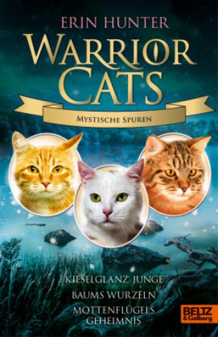 Kniha Warrior Cats - Mystische Spuren Alexandra Baisch
